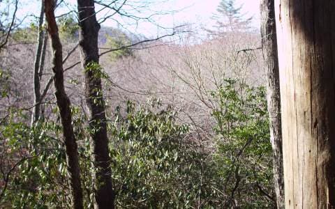 #109 Big Pine Drive, Hiawassee GA 30546 - Photo