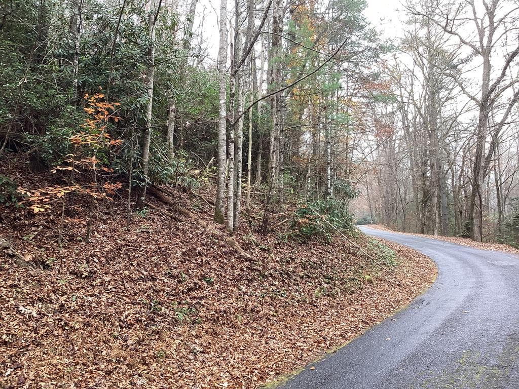 #109 Big Pine Drive, Hiawassee GA 30546 - Photo