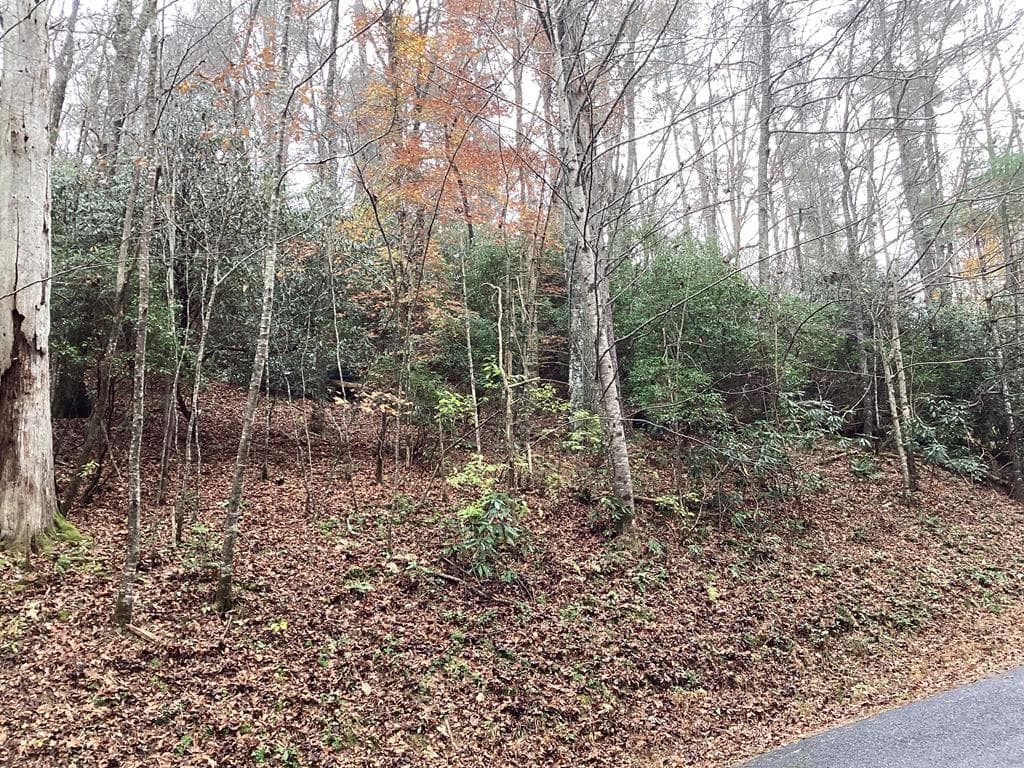 #109 Big Pine Drive, Hiawassee GA 30546 - Photo