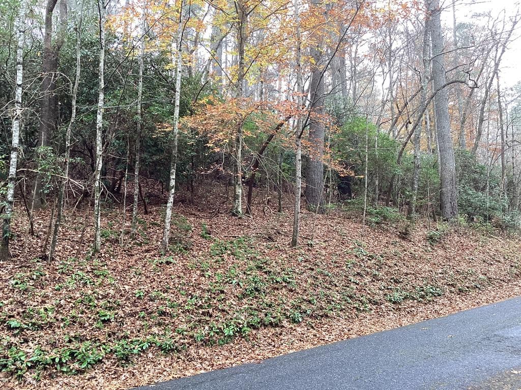 #109 Big Pine Drive, Hiawassee GA 30546 - Photo