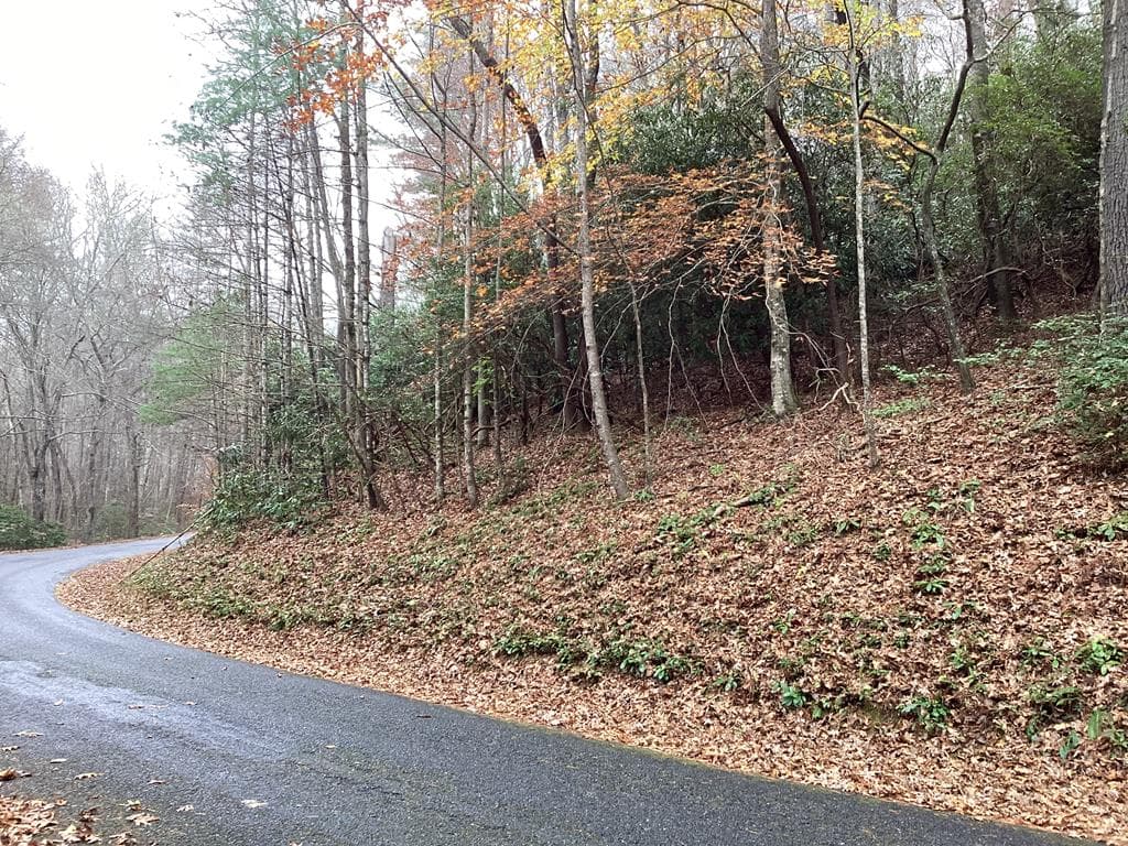 #109 Big Pine Drive, Hiawassee GA 30546 - Photo