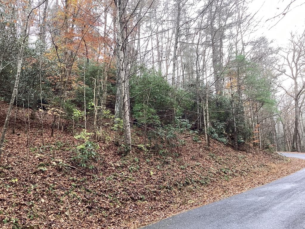 #109 Big Pine Drive, Hiawassee GA 30546 - Photo