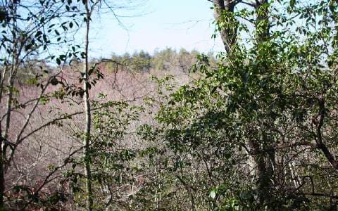#109 Big Pine Drive, Hiawassee GA 30546 - Photo