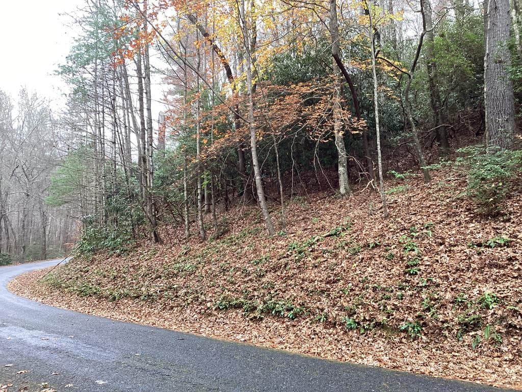#109 Big Pine Drive, Hiawassee GA 30546 - Photo