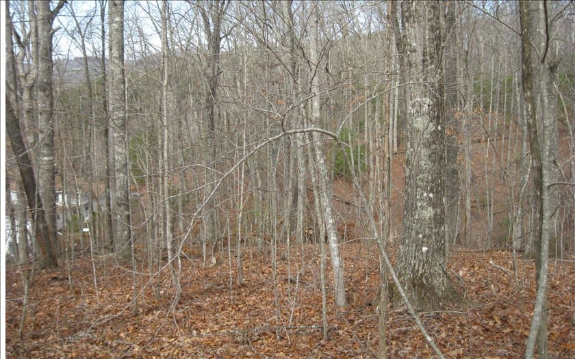 LOT25 Scarletts Way, Young Harris GA 30582 - Photo
