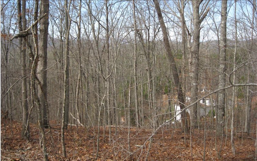 LOT25 Scarletts Way, Young Harris GA 30582 - Photo