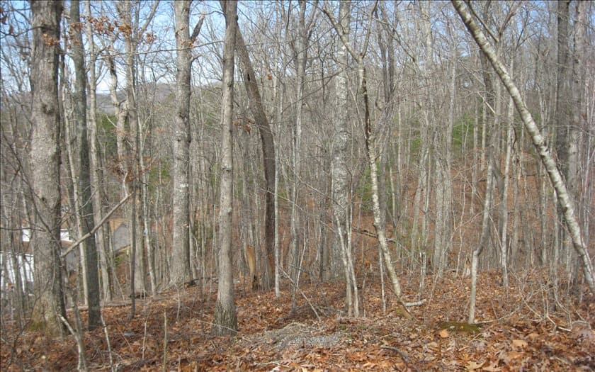 LOT25 Scarletts Way, Young Harris GA 30582 - Photo
