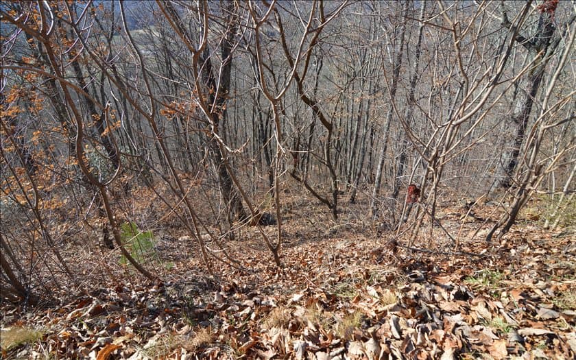 Lot 60M Mountain Harbour Drive, Hayesville NC 28904 - Photo