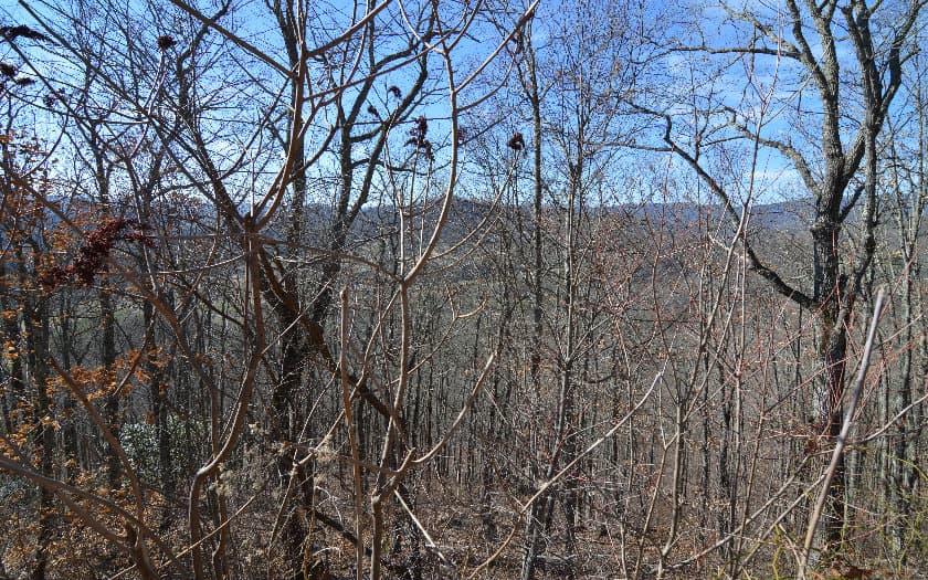 Lot 60M Mountain Harbour Drive, Hayesville NC 28904 - Photo