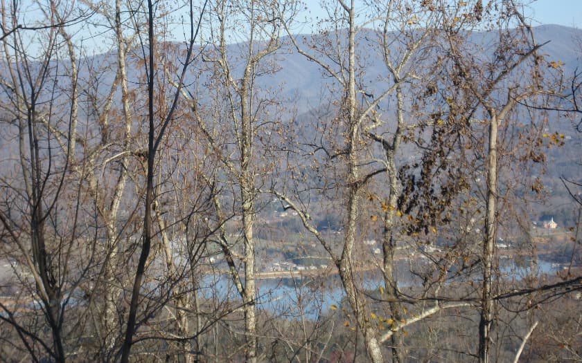 LT 68 Eagles View, Hayesville NC 28904 - Photo