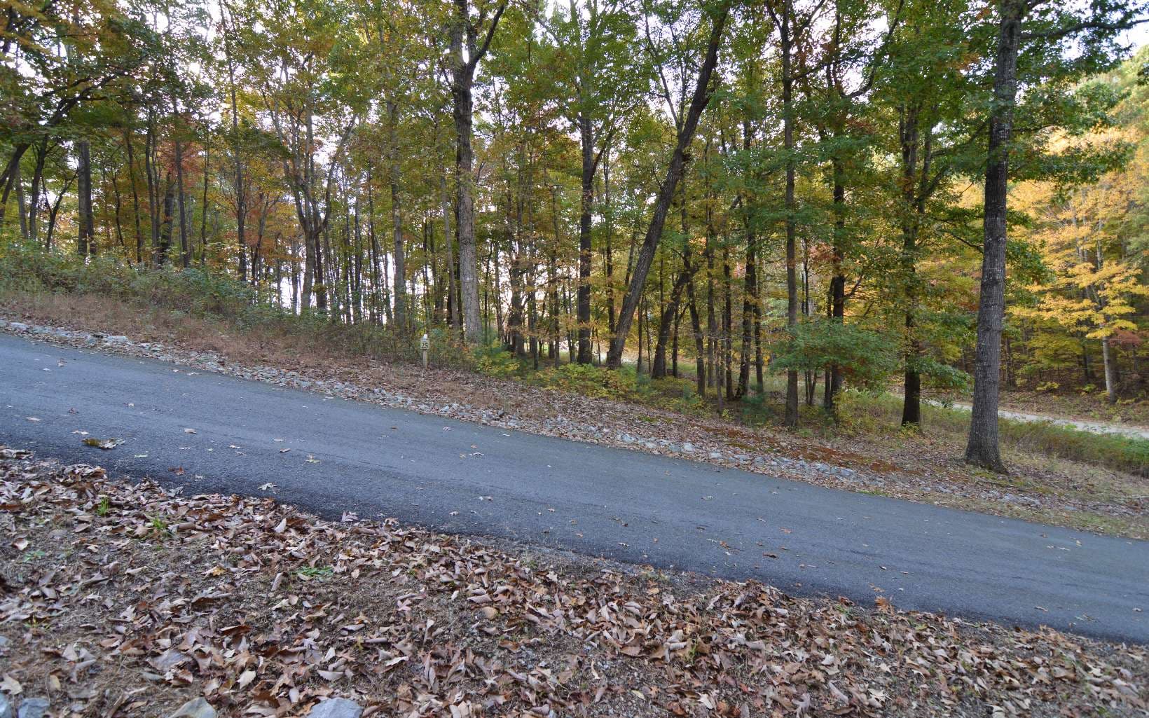 Lot 1 Serenity Ridge Lane, Blairsville GA 30512 - Photo