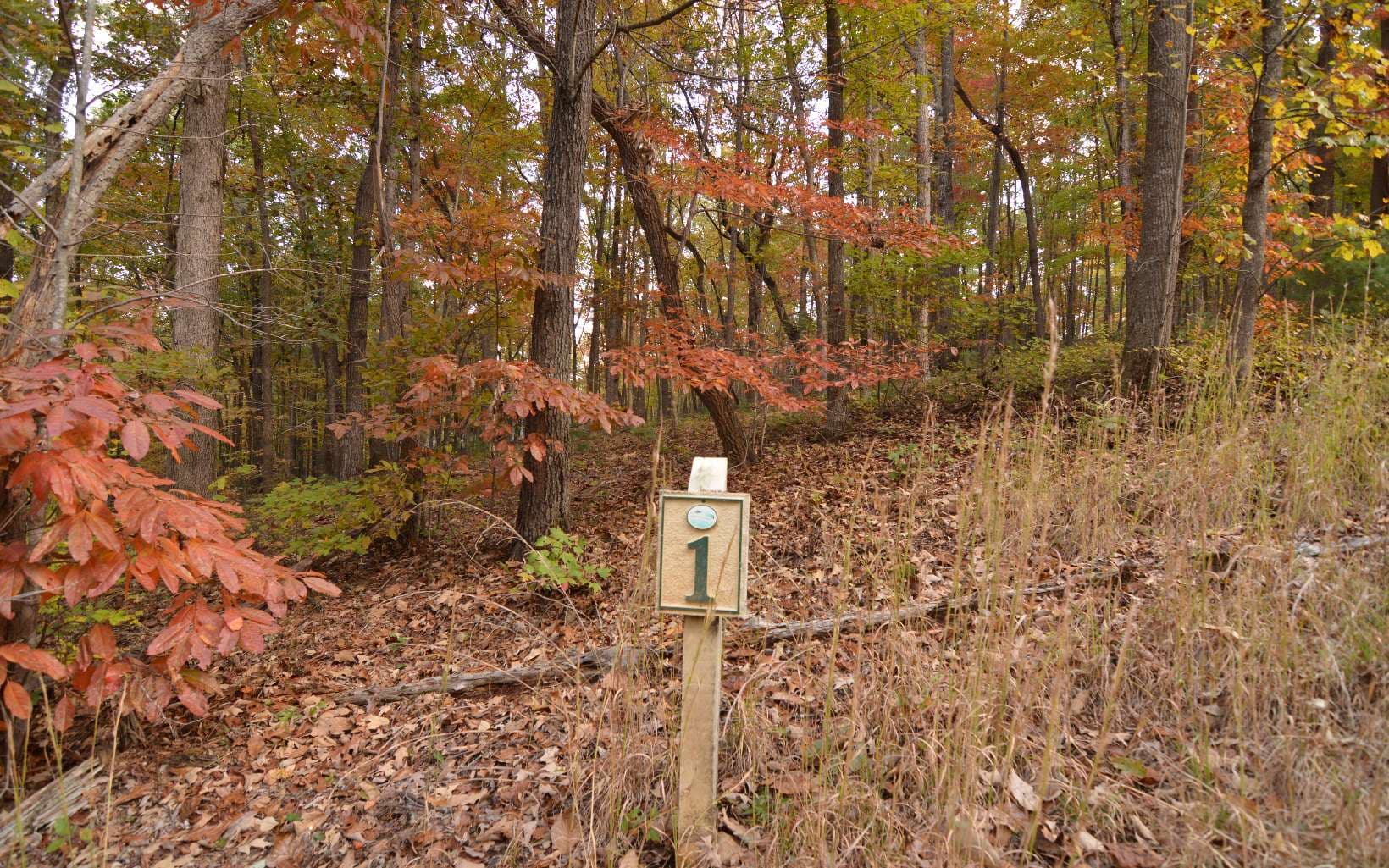 Lot 1 Serenity Ridge Lane, Blairsville GA 30512 - Primary photo