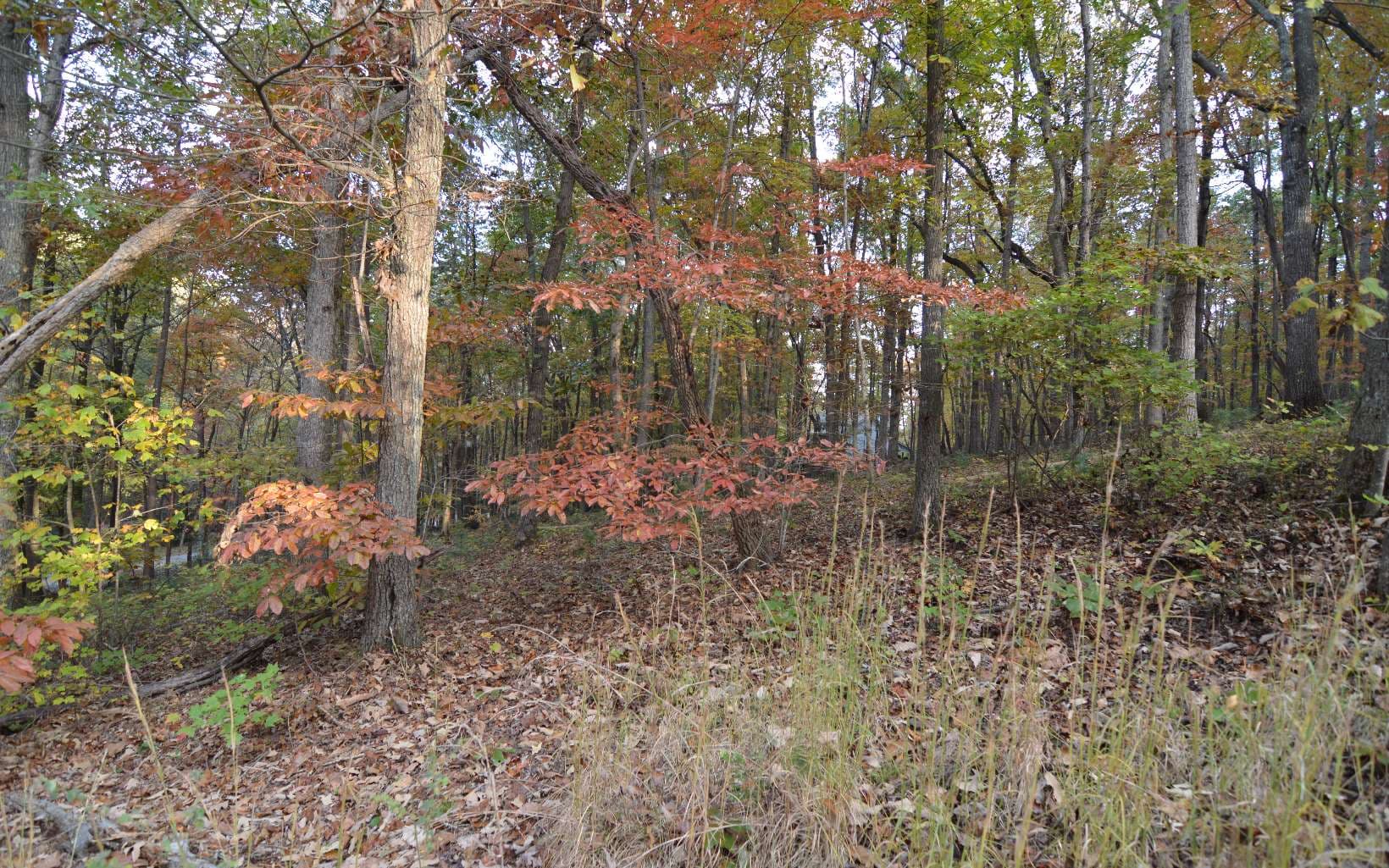 Lot 1 Serenity Ridge Lane, Blairsville GA 30512 - Photo