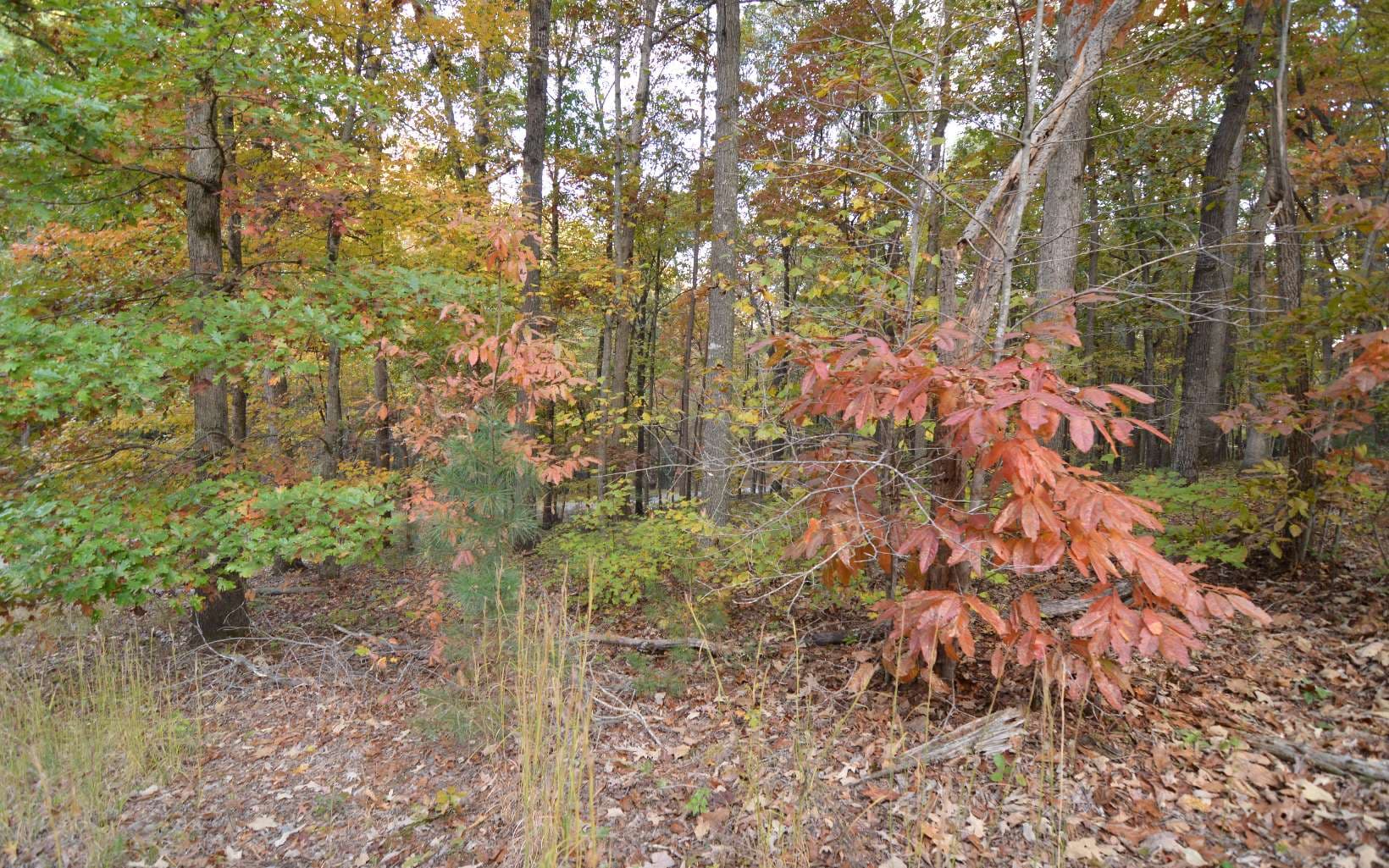 Lot 1 Serenity Ridge Lane, Blairsville GA 30512 - Photo