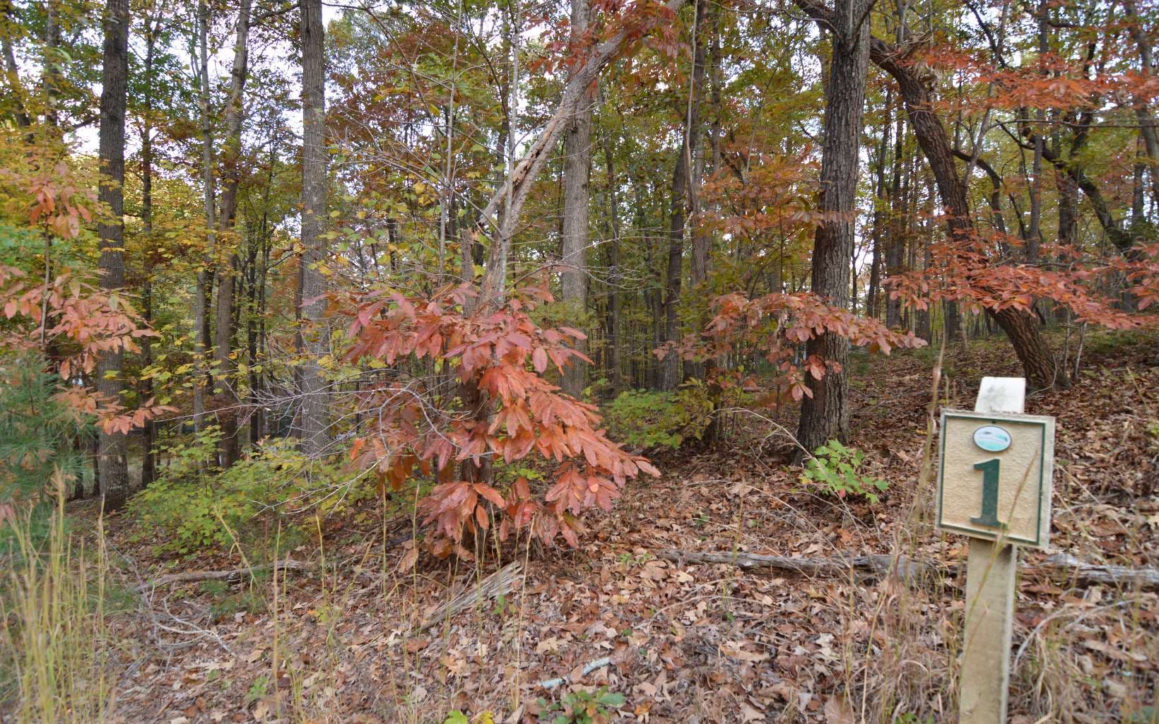 Lot 1 Serenity Ridge Lane, Blairsville GA 30512 - Photo
