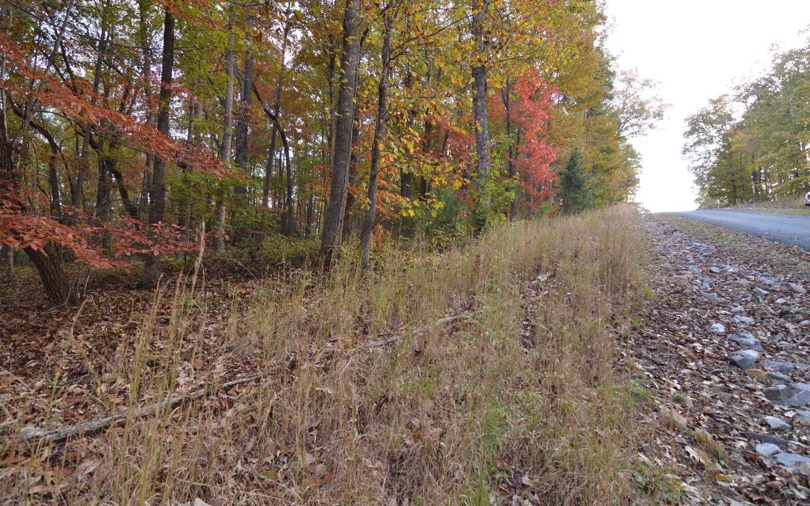 Lot 1 Serenity Ridge Lane, Blairsville GA 30512 - Photo