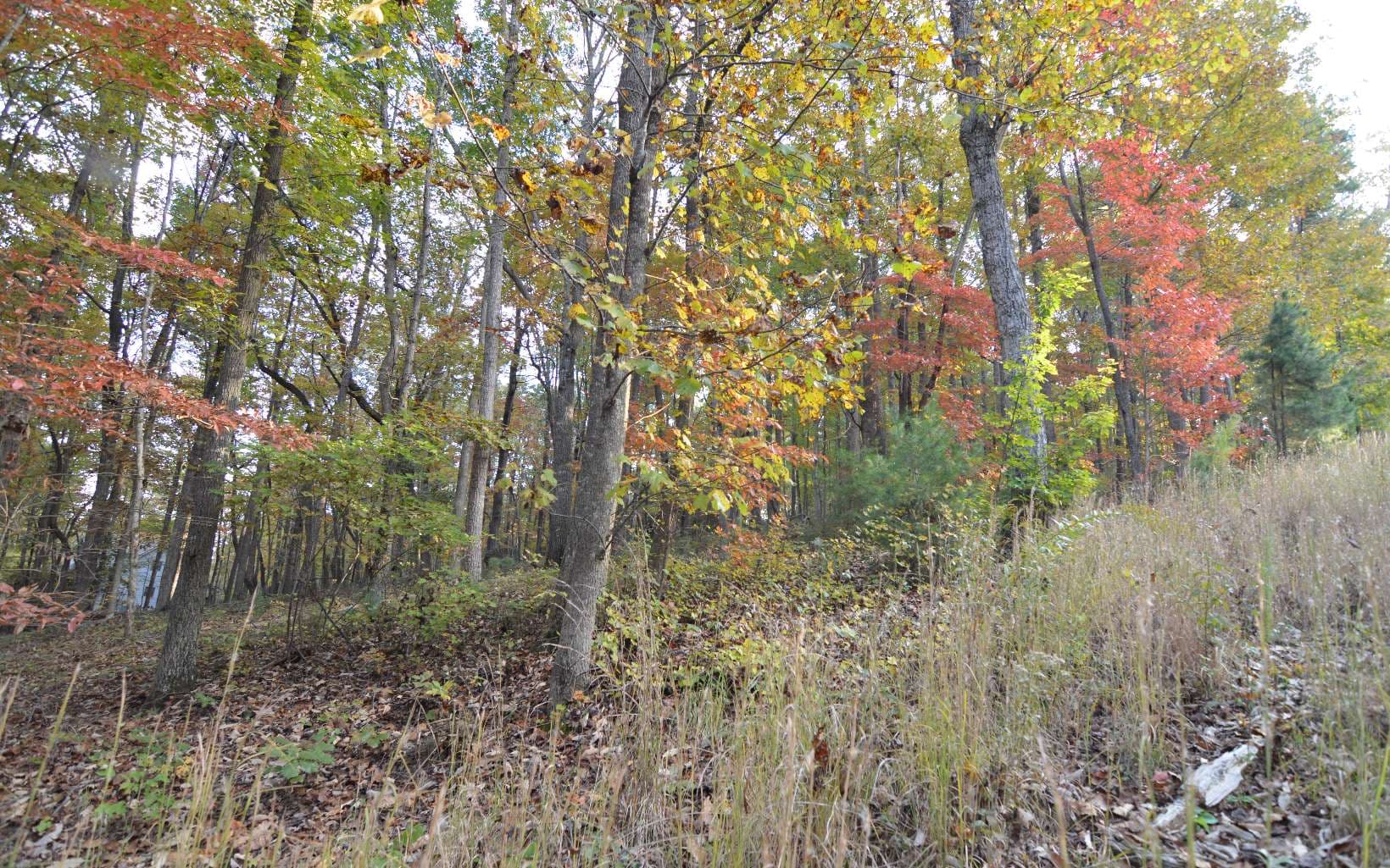 Lot 1 Serenity Ridge Lane, Blairsville GA 30512 - Photo