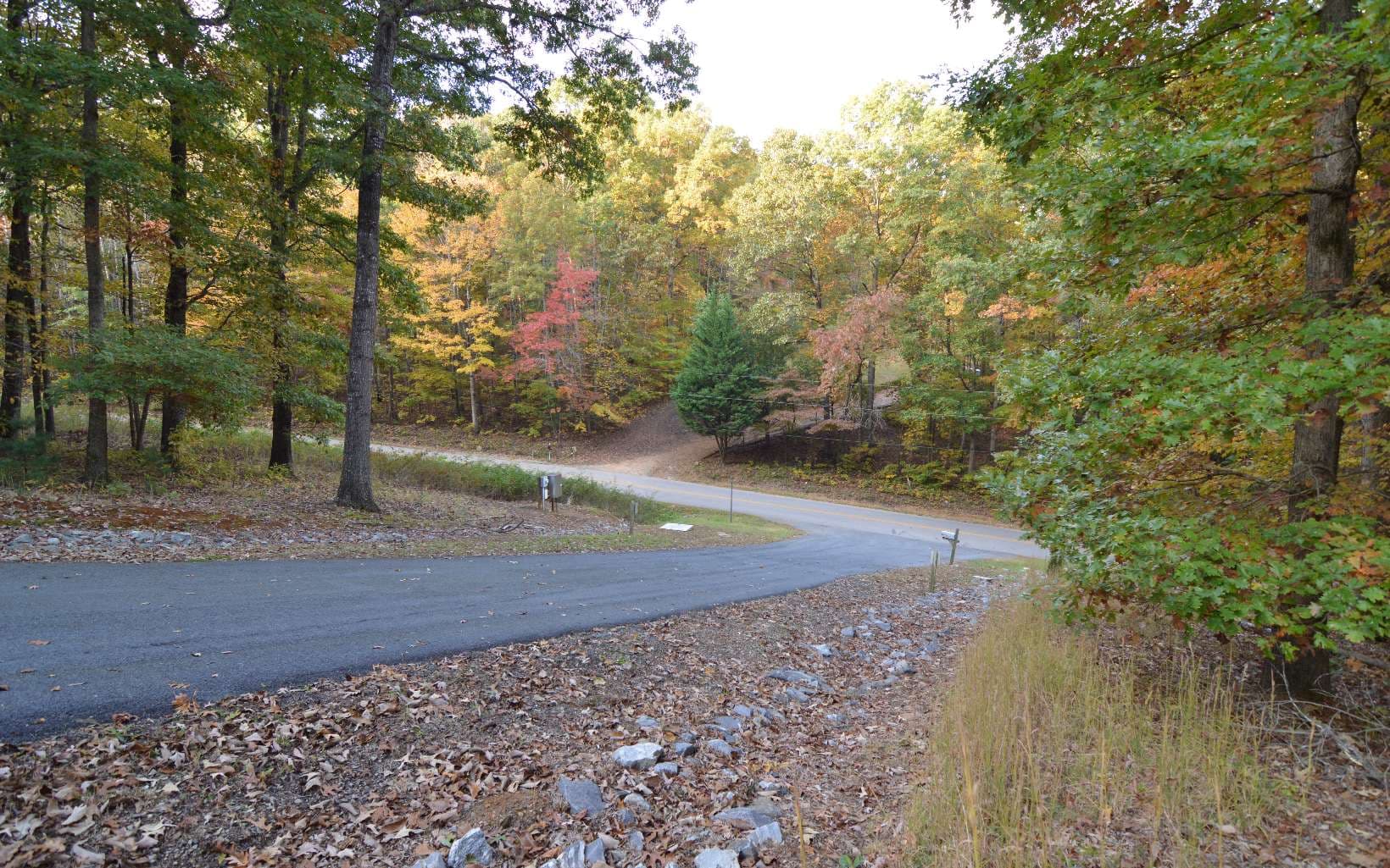 Lot 1 Serenity Ridge Lane, Blairsville GA 30512 - Photo