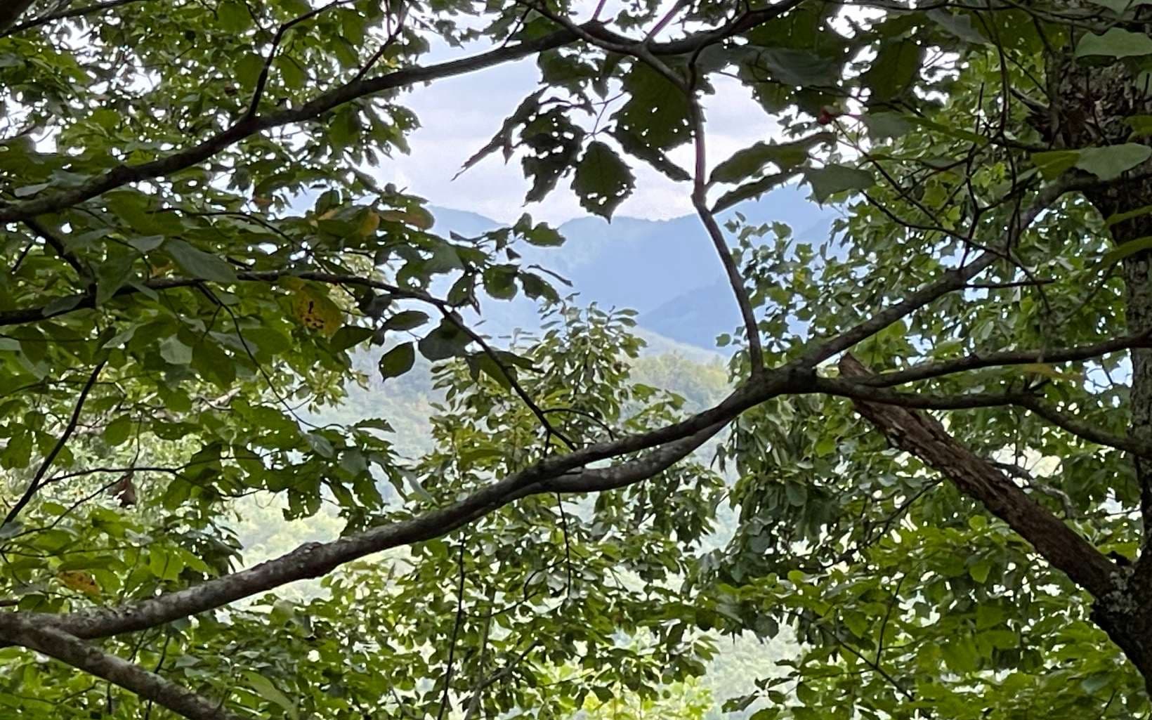 Lot 20 Enchanted Ridge, Hayesville NC 28904 - Photo