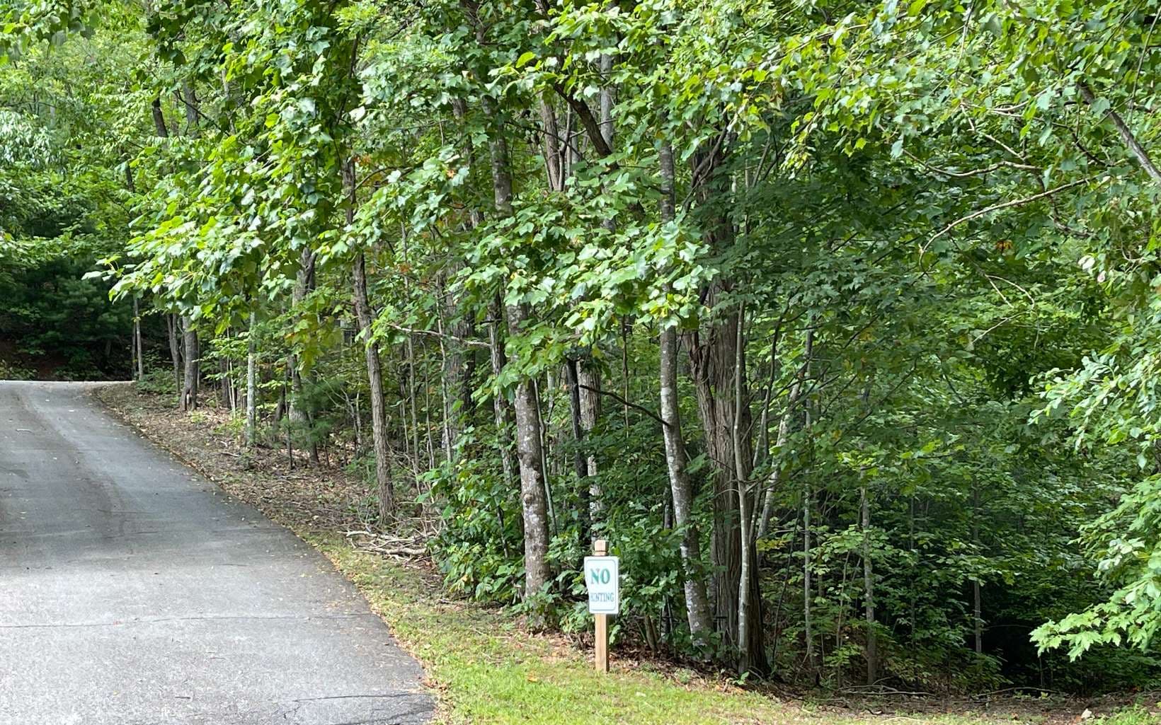 Lot 20 Enchanted Ridge, Hayesville NC 28904 - Photo