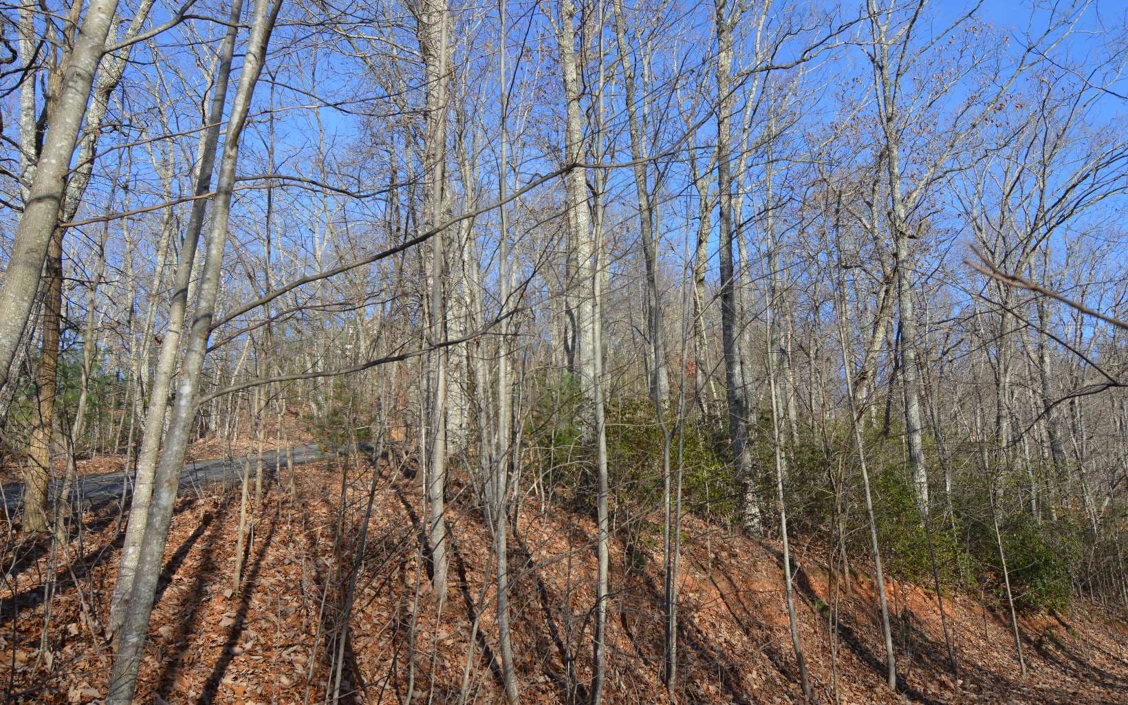 Lot 20 Enchanted Ridge, Hayesville NC 28904 - Photo