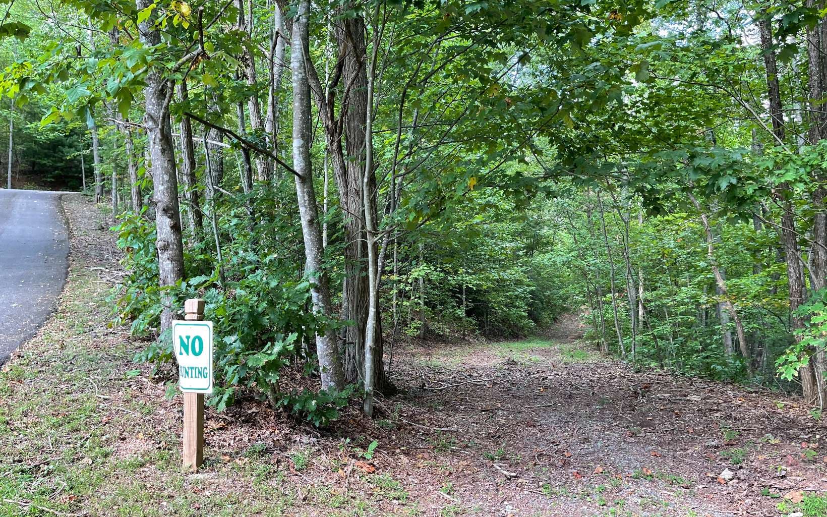 Lot 20 Enchanted Ridge, Hayesville NC 28904 - Photo