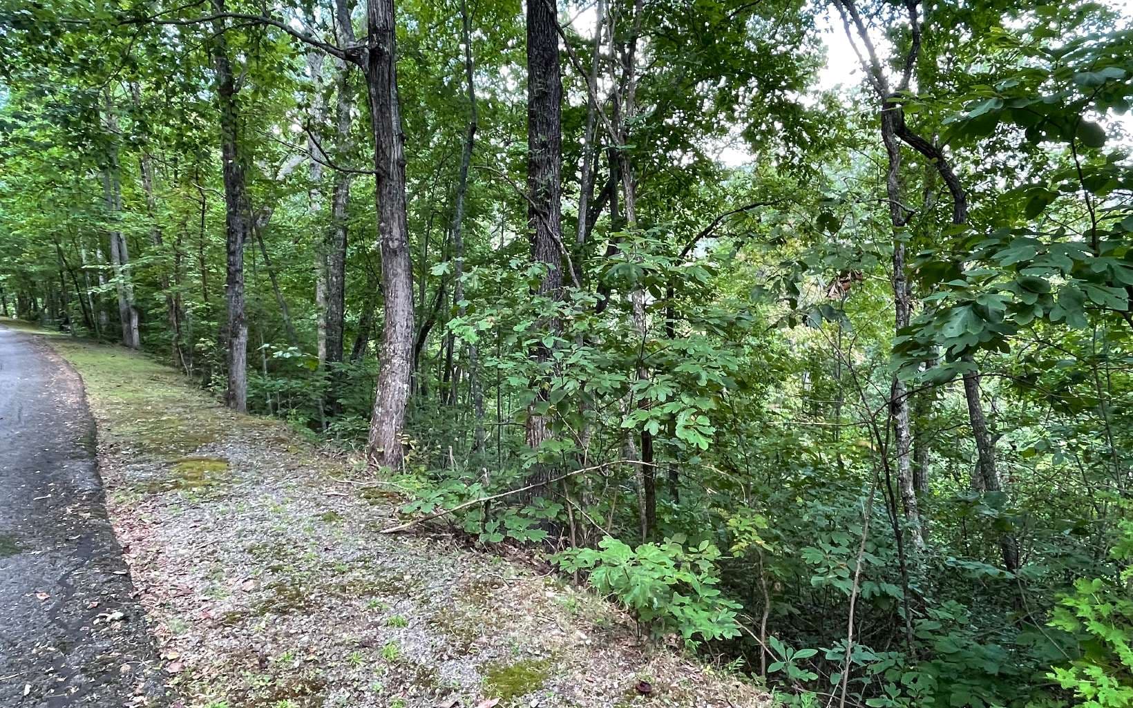 Lot 20 Enchanted Ridge, Hayesville NC 28904 - Photo