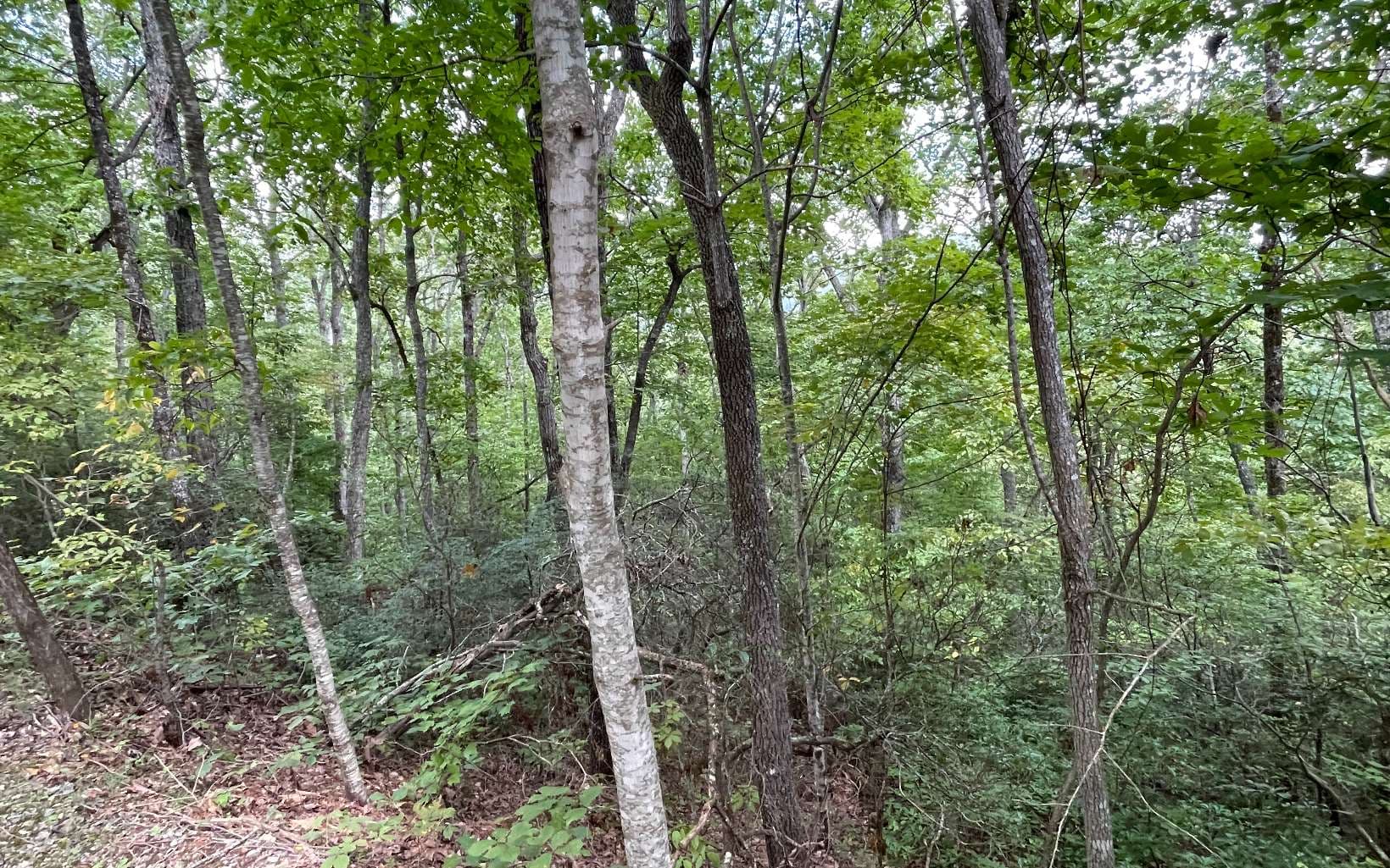 Lot 20 Enchanted Ridge, Hayesville NC 28904 - Primary photo