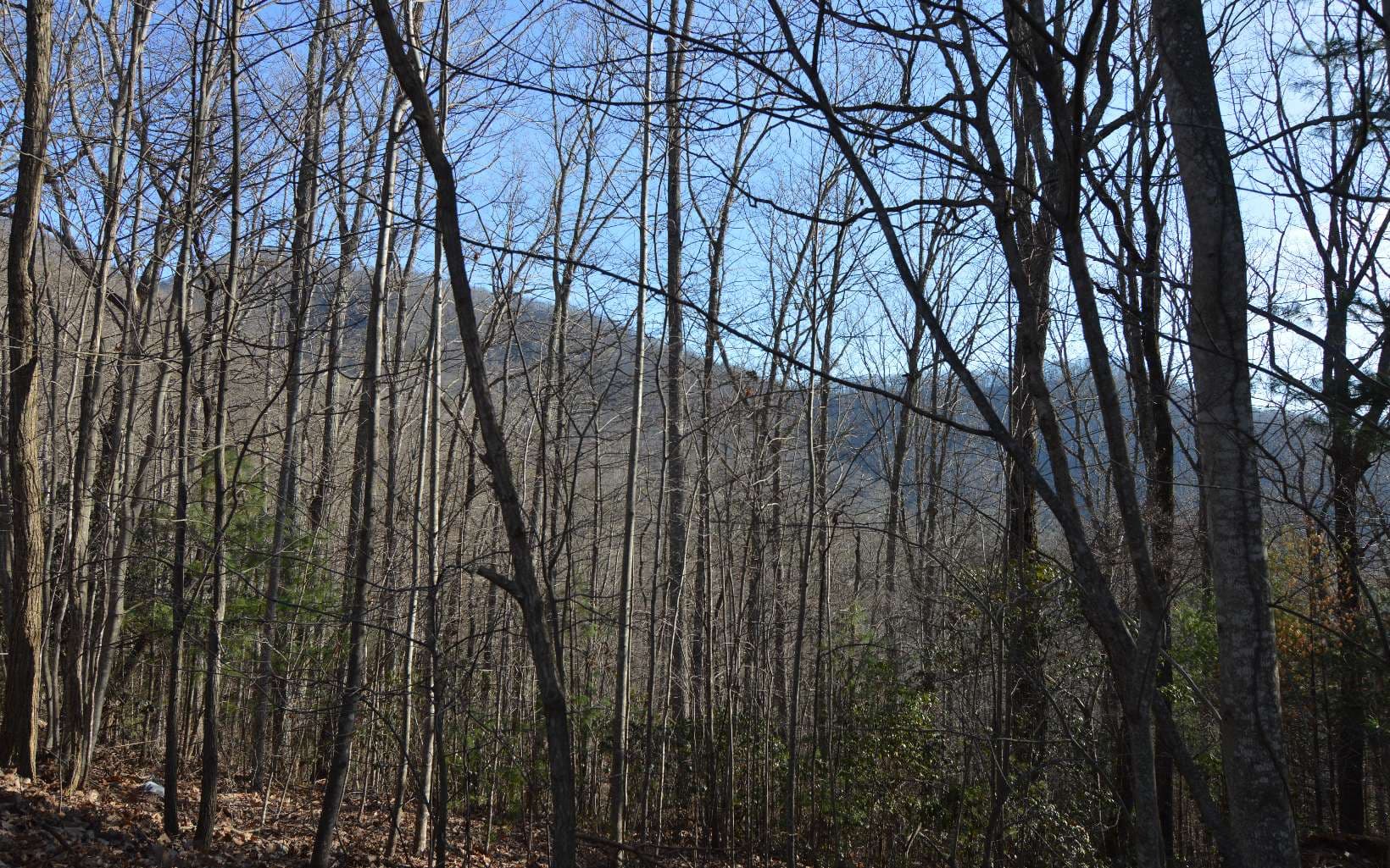 Lot 20 Enchanted Ridge, Hayesville NC 28904 - Photo