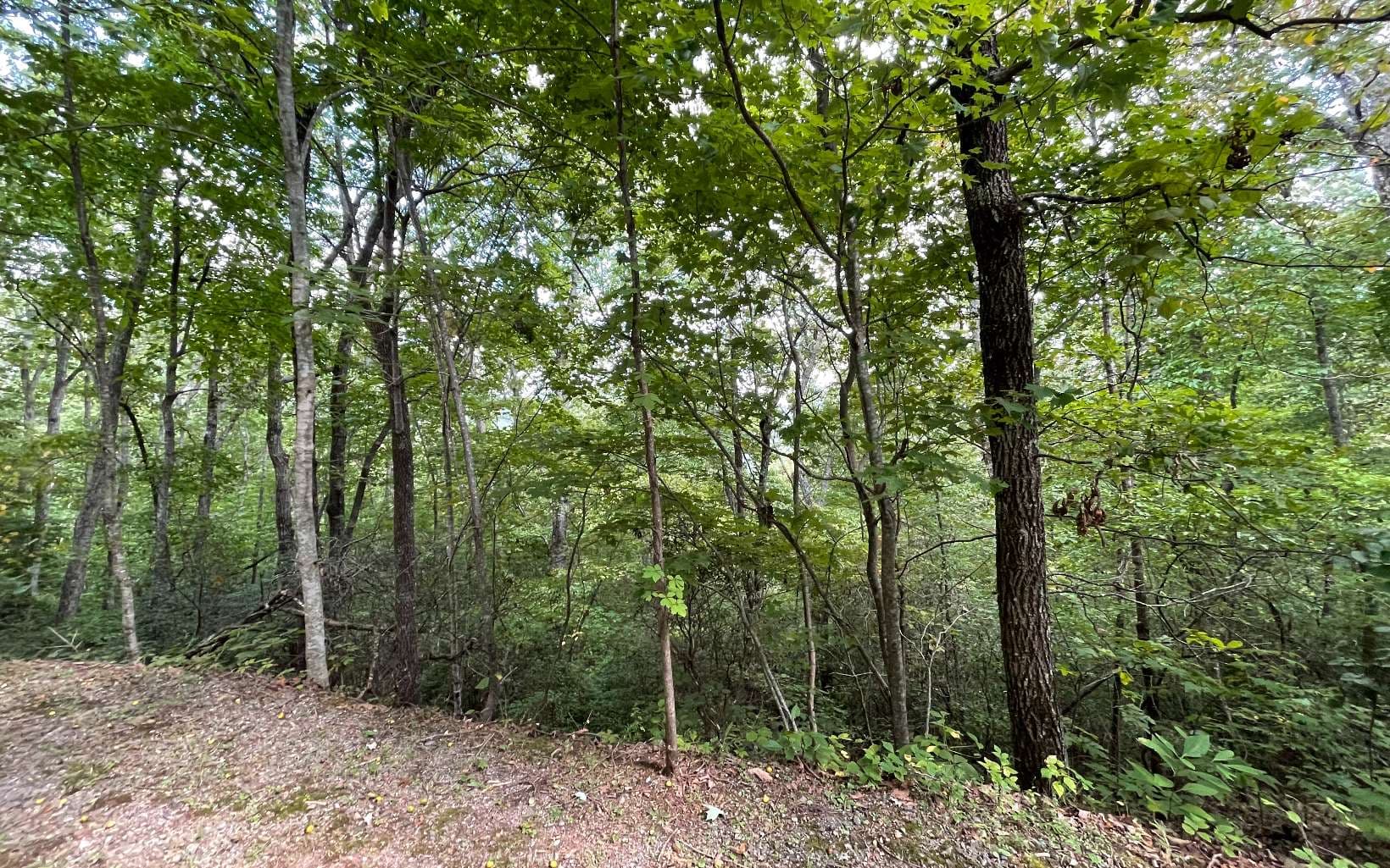 Lot 20 Enchanted Ridge, Hayesville NC 28904 - Photo