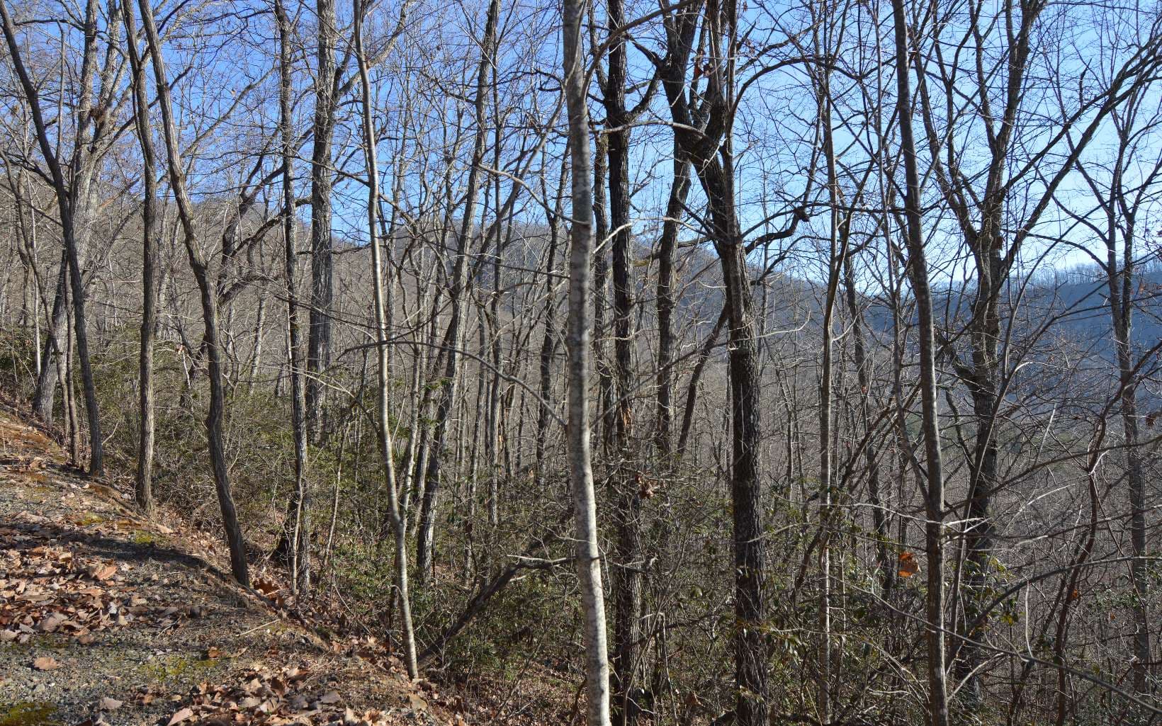 Lot 20 Enchanted Ridge, Hayesville NC 28904 - Photo