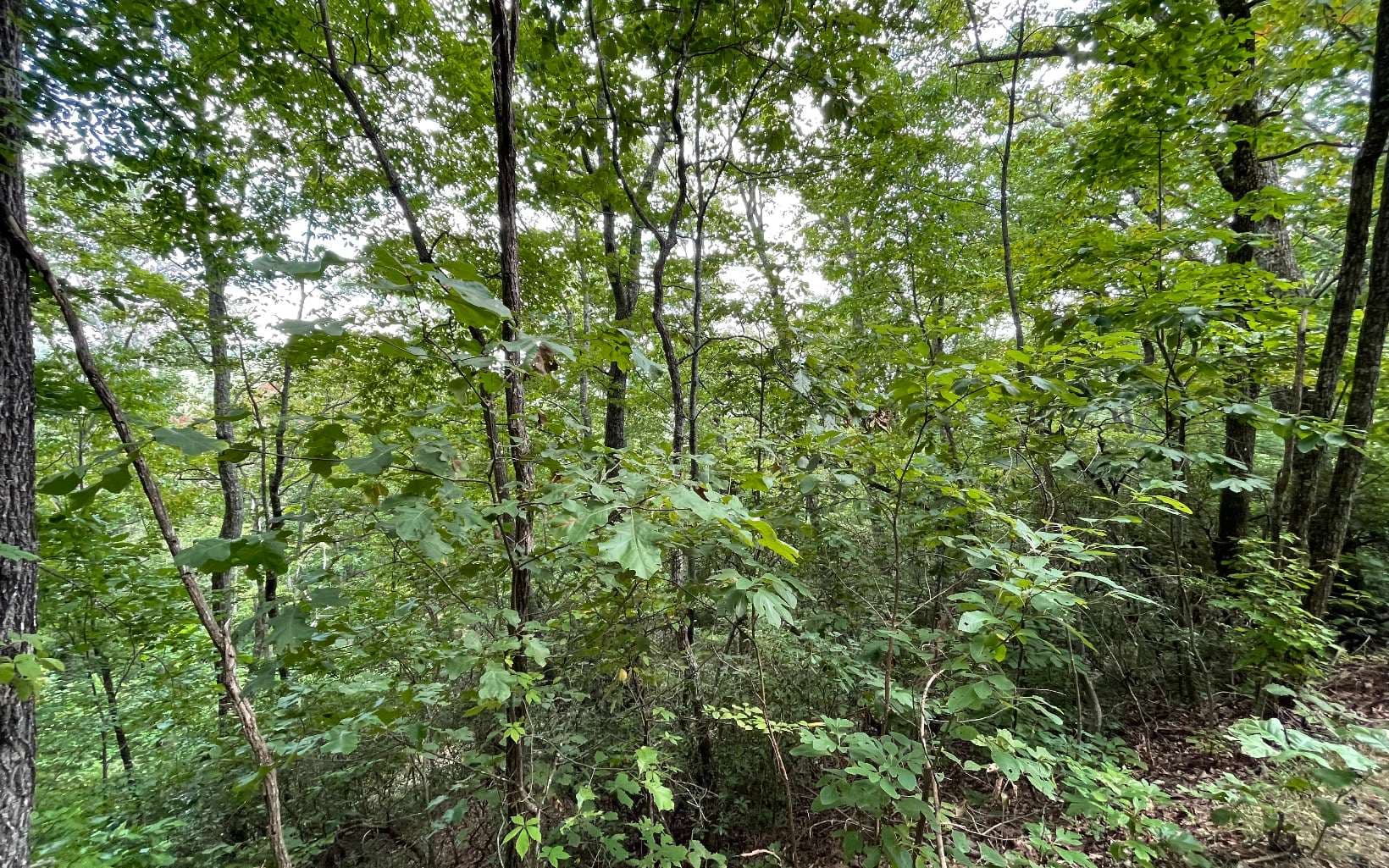 Lot 20 Enchanted Ridge, Hayesville NC 28904 - Photo