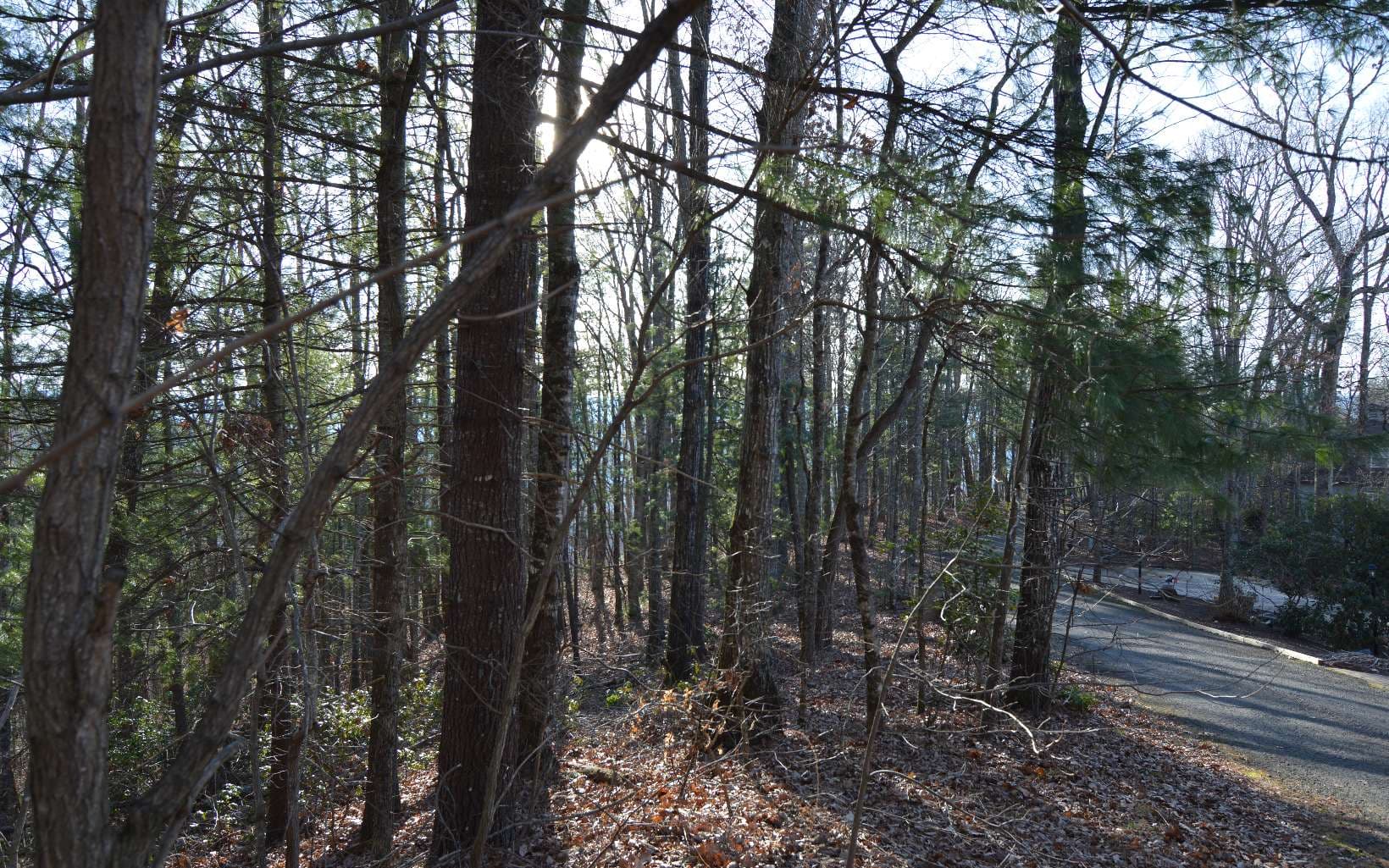 Lot 20 Enchanted Ridge, Hayesville NC 28904 - Photo