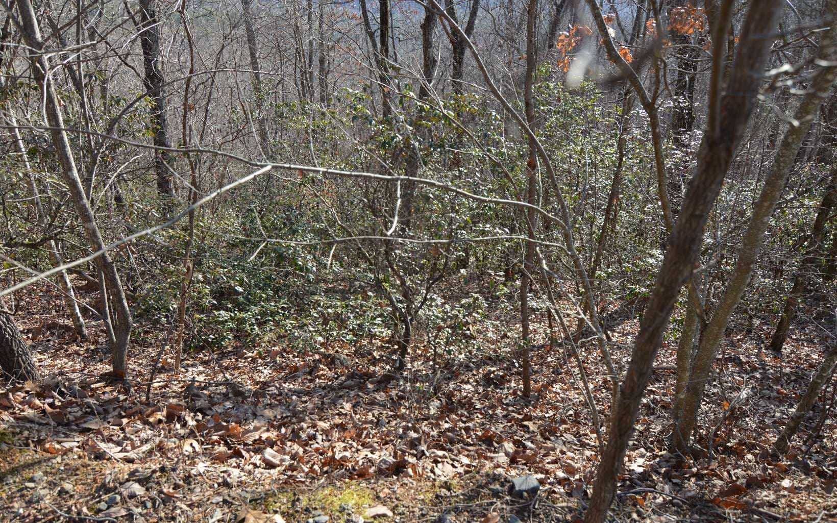Lot 20 Enchanted Ridge, Hayesville NC 28904 - Photo