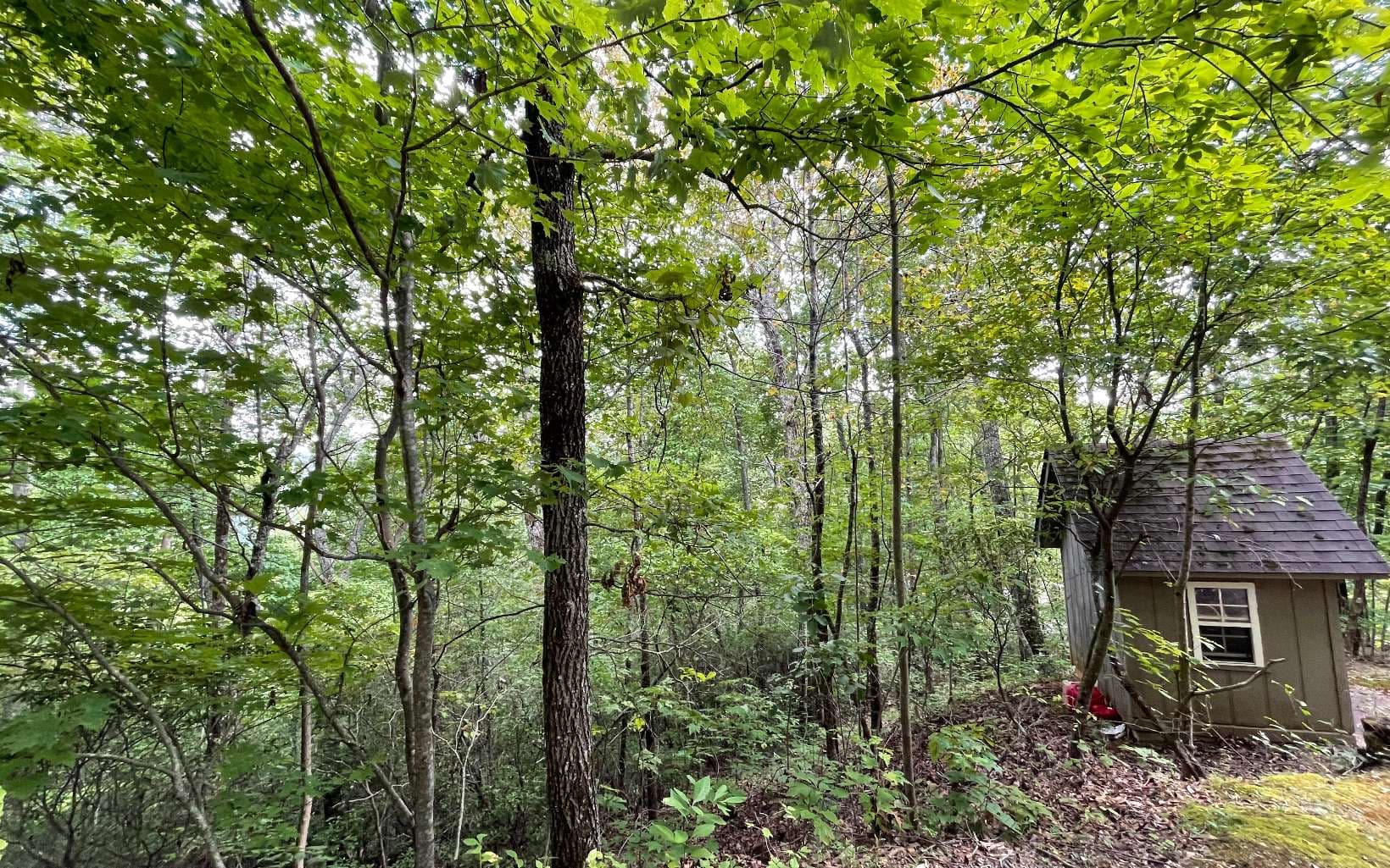 Lot 20 Enchanted Ridge, Hayesville NC 28904 - Photo