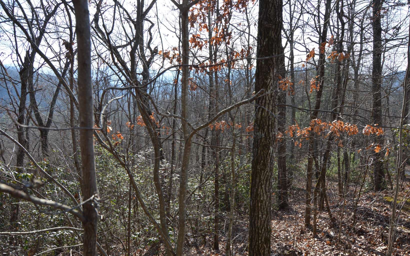 Lot 20 Enchanted Ridge, Hayesville NC 28904 - Photo