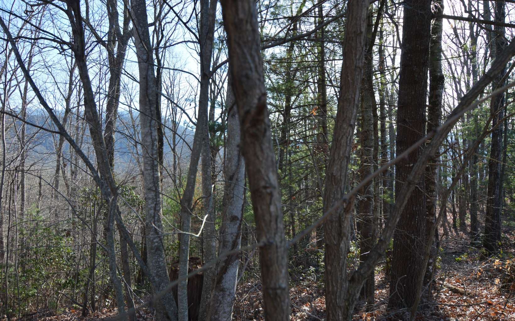 Lot 20 Enchanted Ridge, Hayesville NC 28904 - Photo