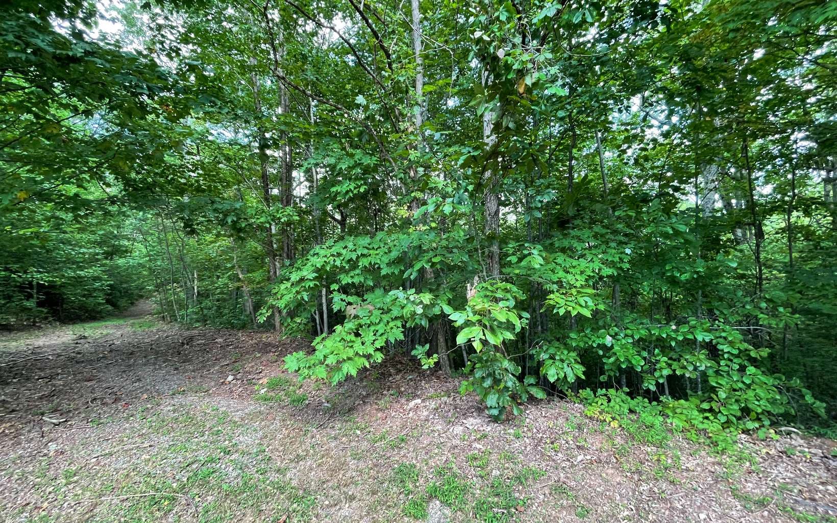 Lot 20 Enchanted Ridge, Hayesville NC 28904 - Photo
