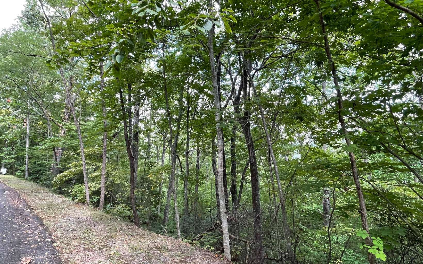 Lot 20 Enchanted Ridge, Hayesville NC 28904 - Photo