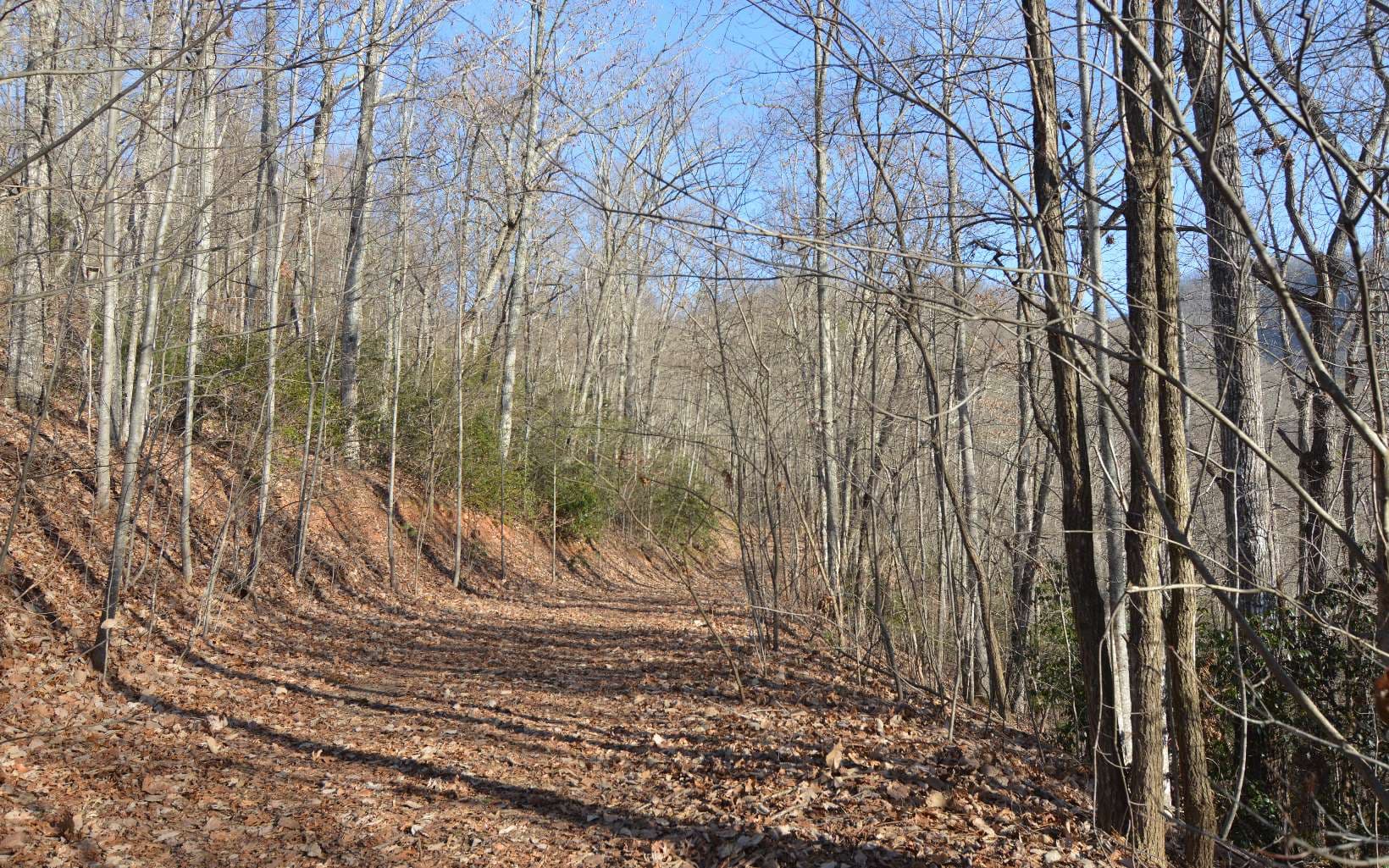 Lot 20 Enchanted Ridge, Hayesville NC 28904 - Photo