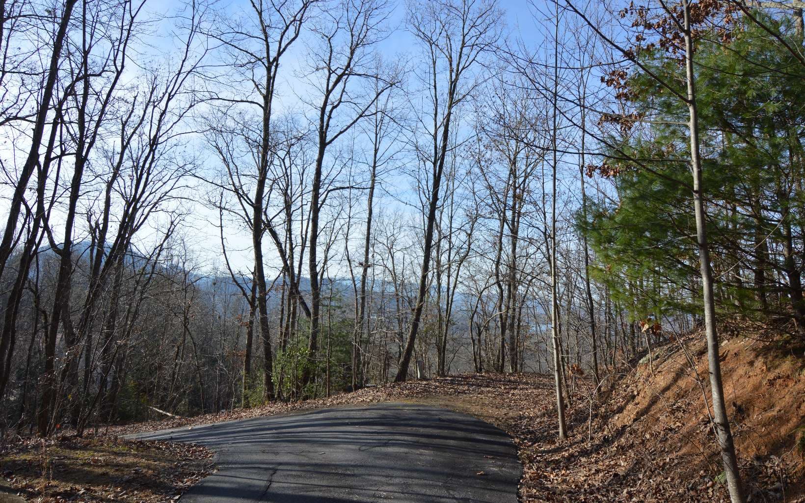 Lot 20 Enchanted Ridge, Hayesville NC 28904 - Photo