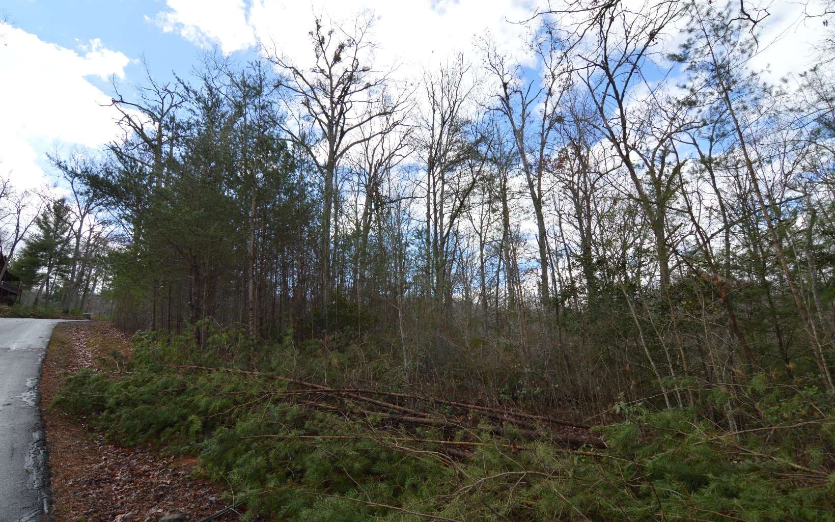 Lot 48 Laurel Brooke, Blairsville GA 30512 - Photo
