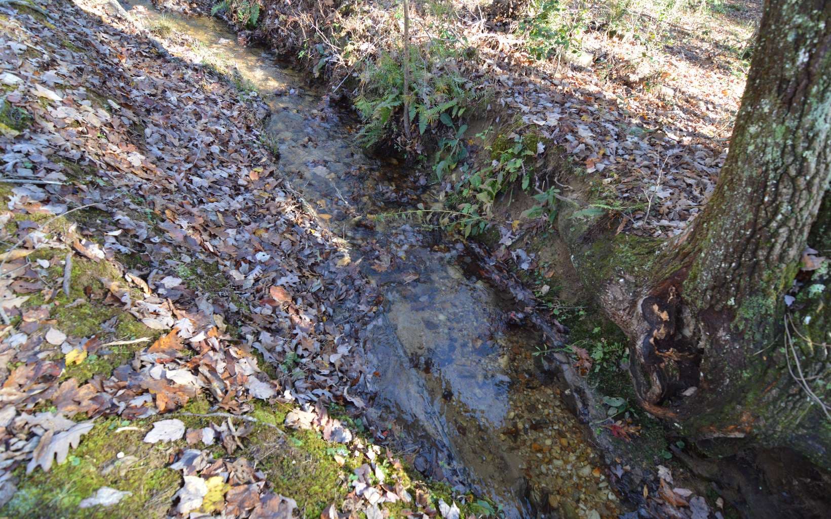 Lot 48 Laurel Brooke, Blairsville GA 30512 - Photo