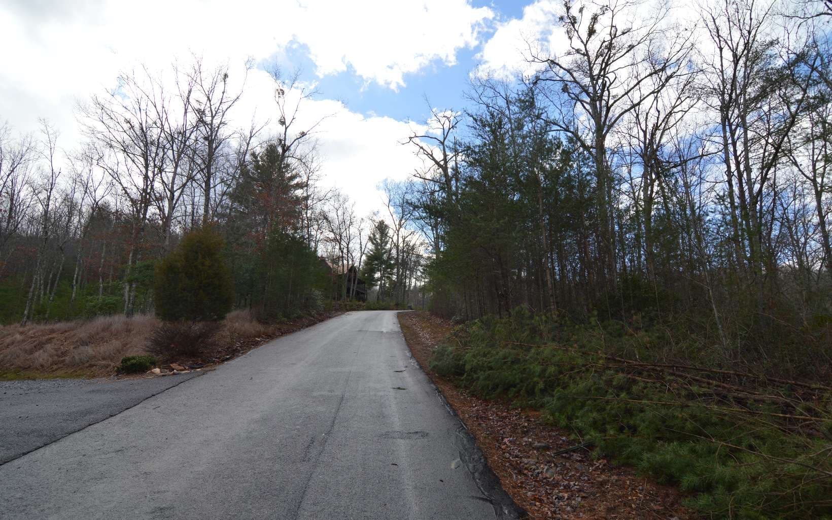 Lot 48 Laurel Brooke, Blairsville GA 30512 - Photo