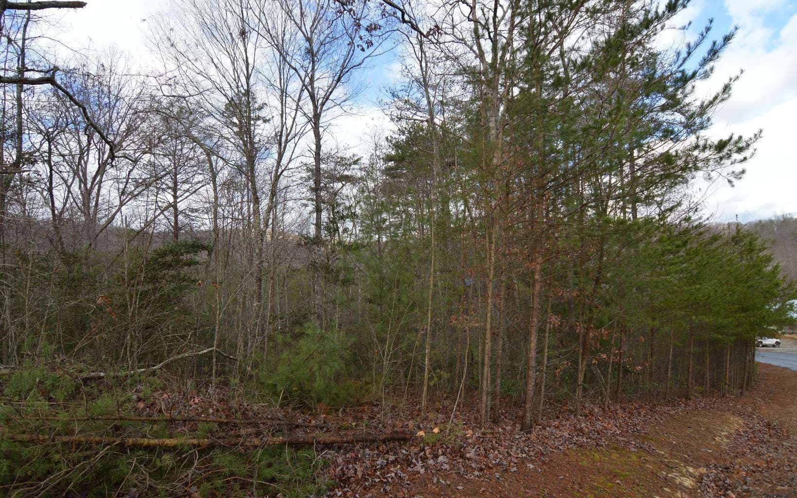 Lot 48 Laurel Brooke, Blairsville GA 30512 - Photo