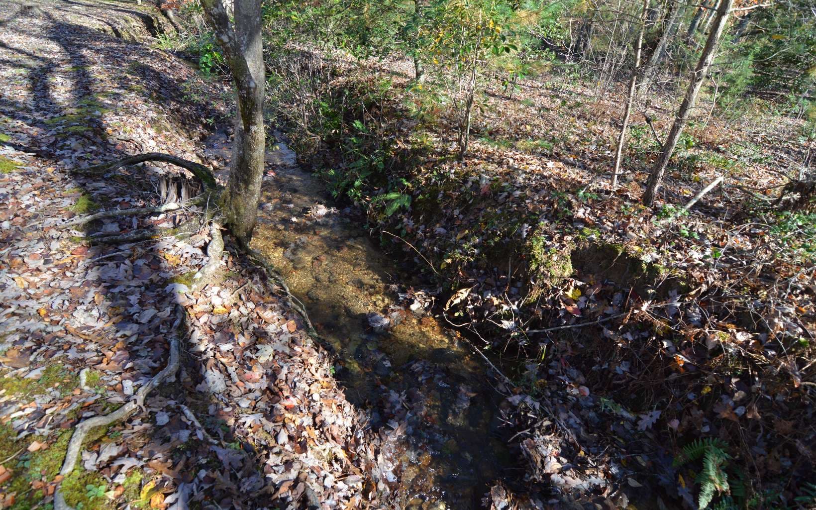 Lot 48 Laurel Brooke, Blairsville GA 30512 - Photo