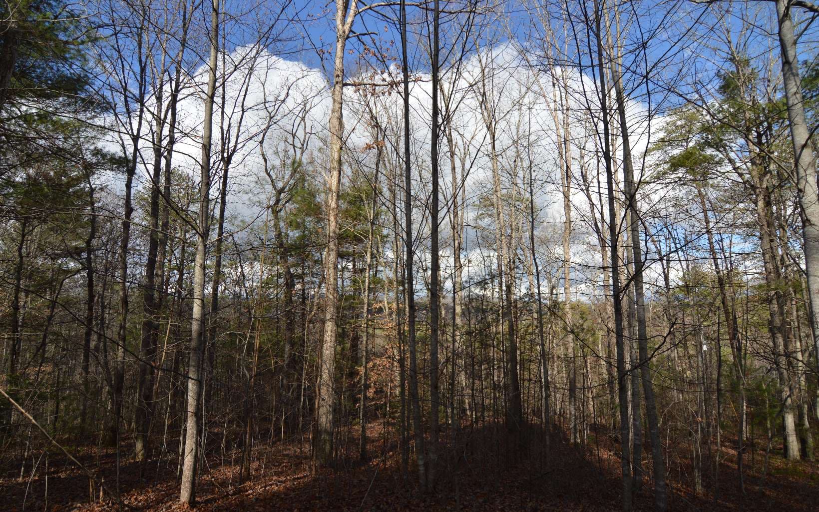 Lot 26 Coosa Bend Drive, Blairsville GA 30512 - Photo