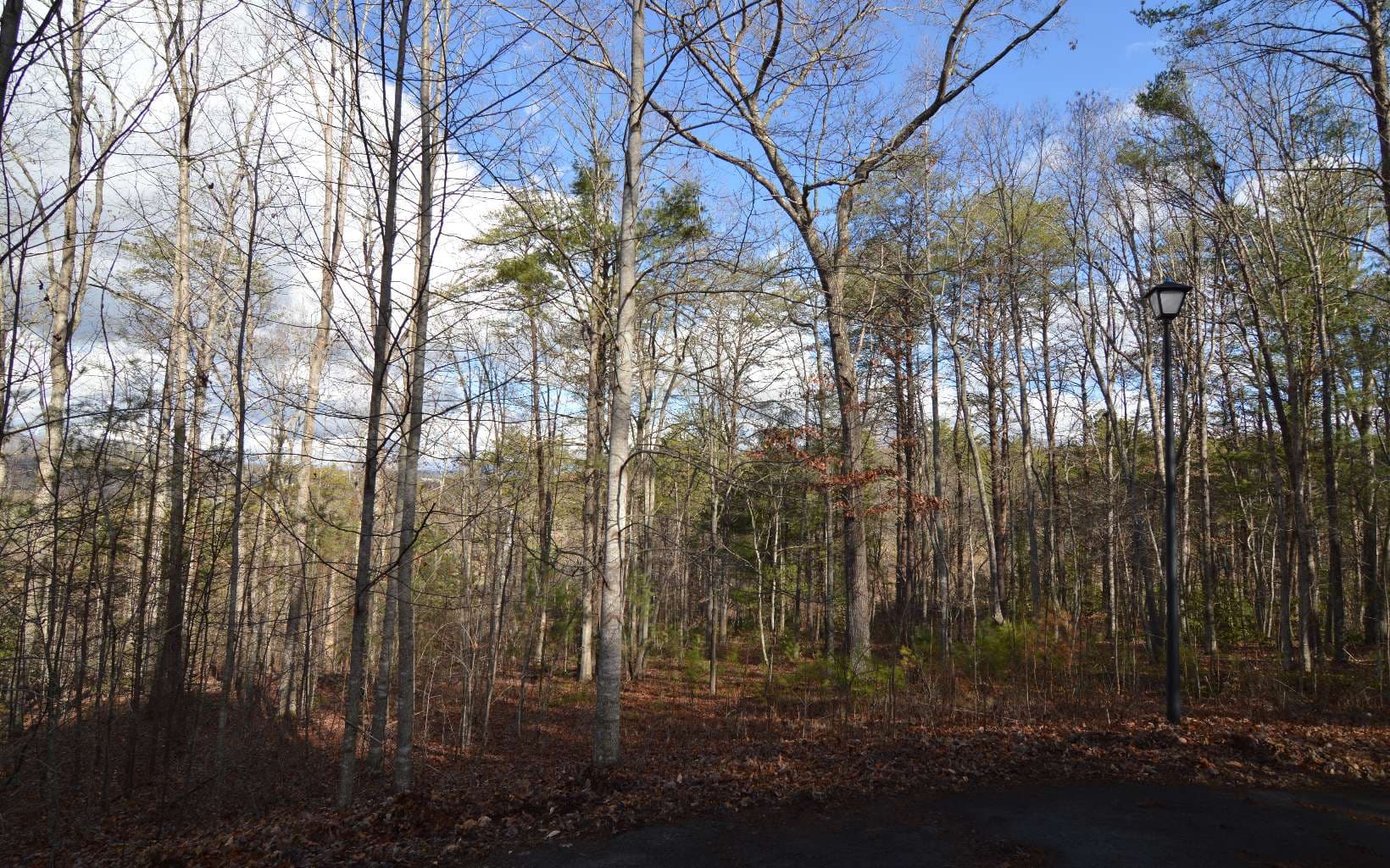 Lot 26 Coosa Bend Drive, Blairsville GA 30512 - Primary photo