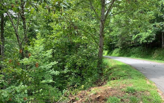 Lot 50A Eagles View, Hayesville NC 28904 - Photo