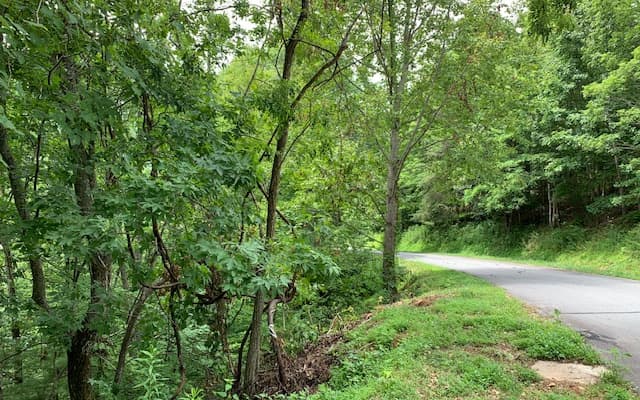Lot 50A Eagles View, Hayesville NC 28904 - Photo